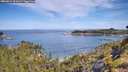 ./images/calvert/foggy-cove/20260614/foggy-cove20260614_101001M.jpg