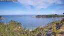 ./images/calvert/foggy-cove/20260614/foggy-cove20260614_101501M.jpg
