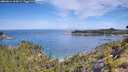 ./images/calvert/foggy-cove/20260614/foggy-cove20260614_102001M.jpg