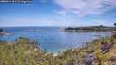 ./images/calvert/foggy-cove/20260614/foggy-cove20260614_102501M.jpg