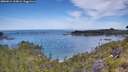 ./images/calvert/foggy-cove/20260614/foggy-cove20260614_103001M.jpg