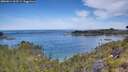 ./images/calvert/foggy-cove/20260614/foggy-cove20260614_103501M.jpg