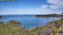 ./images/calvert/foggy-cove/20260614/foggy-cove20260614_104001M.jpg