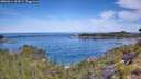 ./images/calvert/foggy-cove/20260614/foggy-cove20260614_104502M.jpg