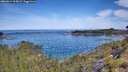 ./images/calvert/foggy-cove/20260614/foggy-cove20260614_105001M.jpg