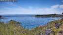 ./images/calvert/foggy-cove/20260614/foggy-cove20260614_105501M.jpg