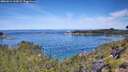 ./images/calvert/foggy-cove/20260614/foggy-cove20260614_110001M.jpg