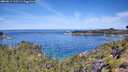 ./images/calvert/foggy-cove/20260614/foggy-cove20260614_110501M.jpg