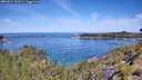 ./images/calvert/foggy-cove/20260614/foggy-cove20260614_111001M.jpg