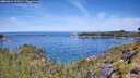 ./images/calvert/foggy-cove/20260614/foggy-cove20260614_111501M.jpg