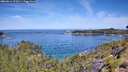 ./images/calvert/foggy-cove/20260614/foggy-cove20260614_112001M.jpg