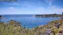 ./images/calvert/foggy-cove/20260614/foggy-cove20260614_112501M.jpg