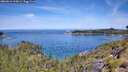 ./images/calvert/foggy-cove/20260614/foggy-cove20260614_113001M.jpg