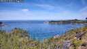 ./images/calvert/foggy-cove/20260614/foggy-cove20260614_113501M.jpg