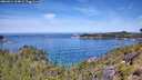 ./images/calvert/foggy-cove/20260614/foggy-cove20260614_114001M.jpg