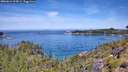 ./images/calvert/foggy-cove/20260614/foggy-cove20260614_114501M.jpg