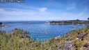 ./images/calvert/foggy-cove/20260614/foggy-cove20260614_115001M.jpg