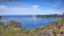 ./images/calvert/foggy-cove/20260614/foggy-cove20260614_115501M.jpg