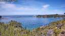 ./images/calvert/foggy-cove/20260614/foggy-cove20260614_120502M.jpg