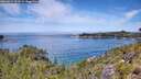 ./images/calvert/foggy-cove/20260614/foggy-cove20260614_122001M.jpg