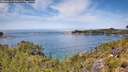 ./images/calvert/foggy-cove/20260614/foggy-cove20260614_123001M.jpg