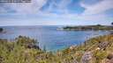 ./images/calvert/foggy-cove/20260614/foggy-cove20260614_124501M.jpg