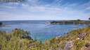./images/calvert/foggy-cove/20260614/foggy-cove20260614_131501M.jpg