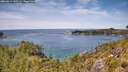 ./images/calvert/foggy-cove/20260614/foggy-cove20260614_132501M.jpg