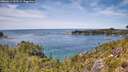 ./images/calvert/foggy-cove/20260614/foggy-cove20260614_133501M.jpg