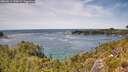 ./images/calvert/foggy-cove/20260614/foggy-cove20260614_140002M.jpg