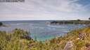 ./images/calvert/foggy-cove/20260614/foggy-cove20260614_140501M.jpg
