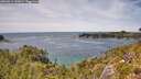 ./images/calvert/foggy-cove/20260614/foggy-cove20260614_141001M.jpg