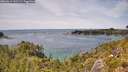 ./images/calvert/foggy-cove/20260614/foggy-cove20260614_141501M.jpg