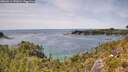 ./images/calvert/foggy-cove/20260614/foggy-cove20260614_142001M.jpg