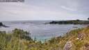./images/calvert/foggy-cove/20260614/foggy-cove20260614_145501M.jpg