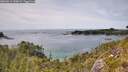 ./images/calvert/foggy-cove/20260614/foggy-cove20260614_150001M.jpg