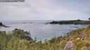 ./images/calvert/foggy-cove/20260614/foggy-cove20260614_151001M.jpg