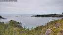 ./images/calvert/foggy-cove/20260614/foggy-cove20260614_154501M.jpg