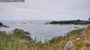 ./images/calvert/foggy-cove/20260614/foggy-cove20260614_155001M.jpg