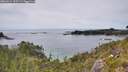 ./images/calvert/foggy-cove/20260614/foggy-cove20260614_155501M.jpg