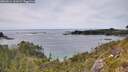 ./images/calvert/foggy-cove/20260614/foggy-cove20260614_161002M.jpg