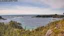 ./images/calvert/foggy-cove/20260614/foggy-cove20260614_164501M.jpg