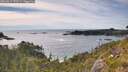 ./images/calvert/foggy-cove/20260614/foggy-cove20260614_172501M.jpg