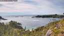 ./images/calvert/foggy-cove/20260614/foggy-cove20260614_173501M.jpg