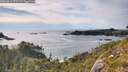 ./images/calvert/foggy-cove/20260614/foggy-cove20260614_175501M.jpg