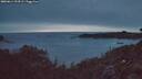 ./images/calvert/foggy-cove/20260614/foggy-cove20260614_222502M.jpg