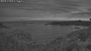 ./images/calvert/foggy-cove/20260615/foggy-cove20260615_043501M.jpg