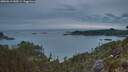 ./images/calvert/foggy-cove/20260615/foggy-cove20260615_045501M.jpg