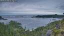 ./images/calvert/foggy-cove/20260615/foggy-cove20260615_051002M.jpg