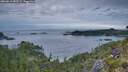 ./images/calvert/foggy-cove/20260615/foggy-cove20260615_051501M.jpg